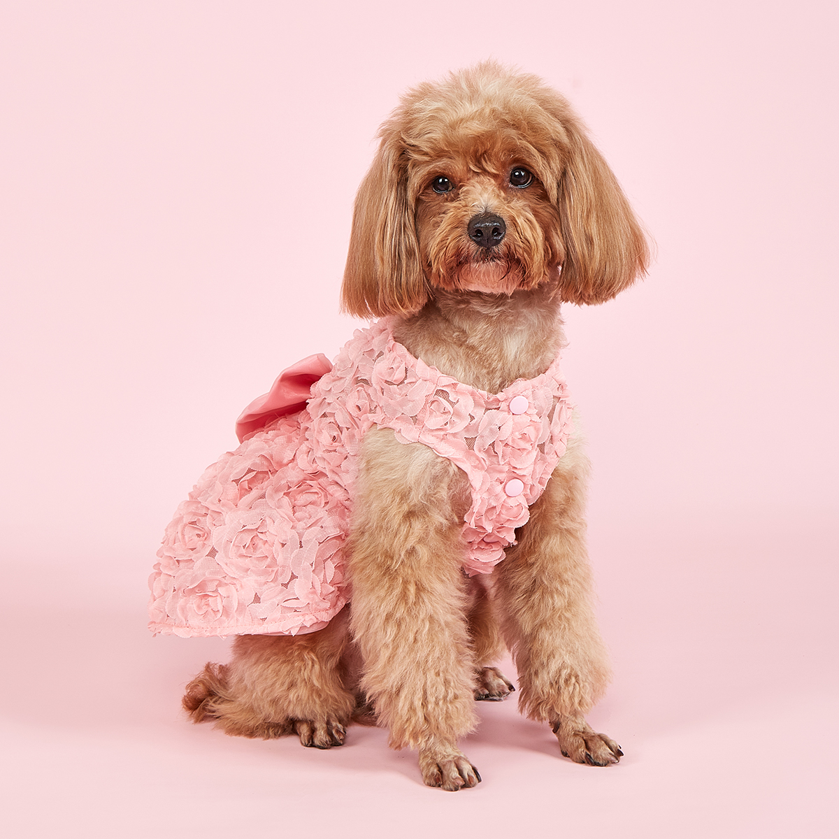 Vestido de princesa para perro, ropa de princesa con lazo rosa y flores bordadas, vestidos de primavera y verano para cachorros y mascotas