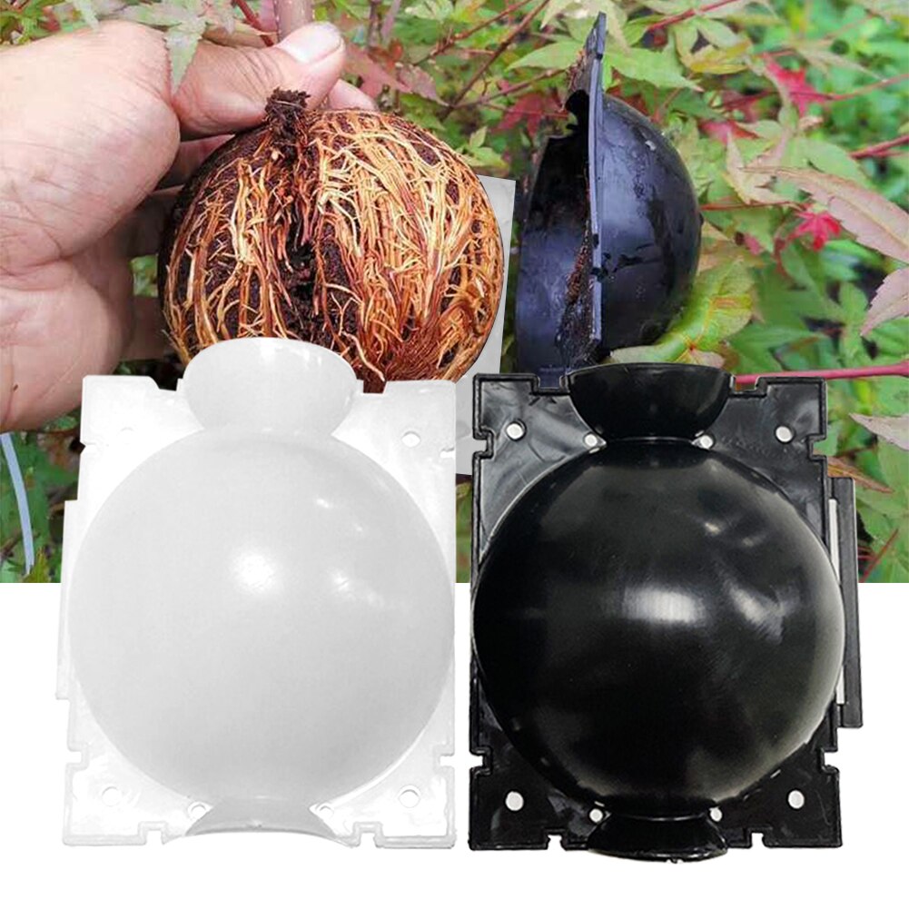 10 stks (5 cm) Plant Wortelbal, Herbruikbare Enten Wortelen Kweekdoos, Kweekkoffer, Plant Wortel Kweekdoos Voor Tuin,zwart