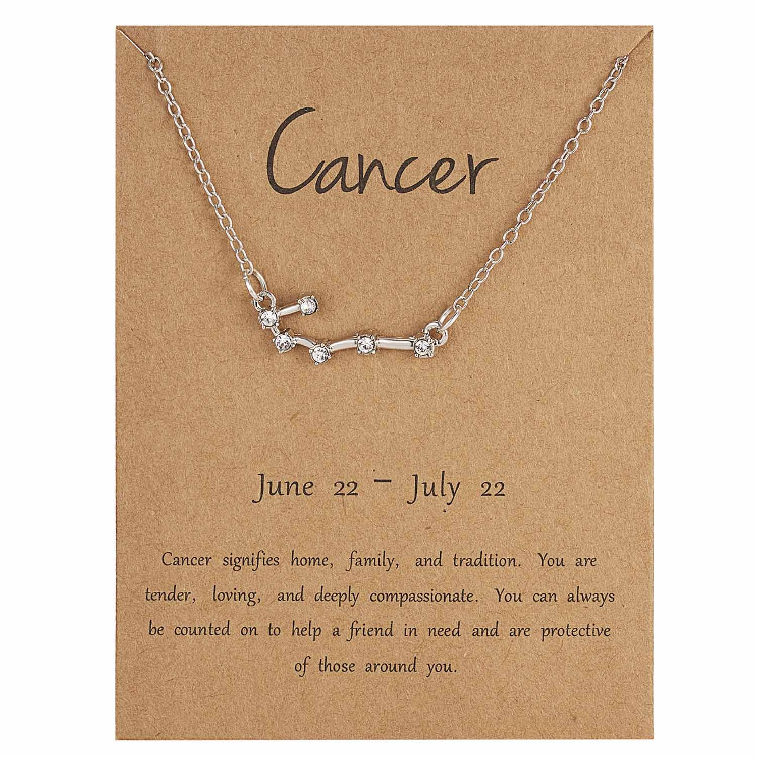 Rinhoo 12 Constellation Necklace Zodiac Sign necklace with Card Pendant Necklace charm Message Card Birthday for Women Girl