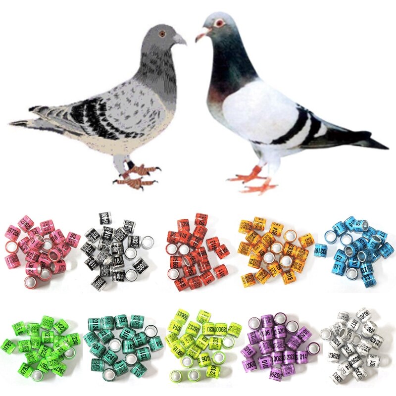 50 Pcs Mixed Color Dove Bands Bird Foot Ring Species Identify Training Rings Pet Bird Label Sign for Pigeon Dove Chicks