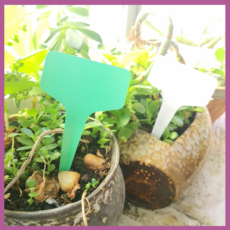 25/50/100 szt. Etykiety PVC robić oznaczania roślin w szklarniach, plastikowe znaczniki robić doniczek, wodoodporne znaczniki robić oznaczania ziół, narzędzia i akcesoria ogrodnicze B2
