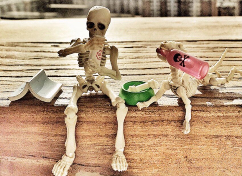 Sig. osso Innovativo Giocattolo per Adulti Bambini Regali di Halloween giocattolo Della Novità Scheletro Famiglia