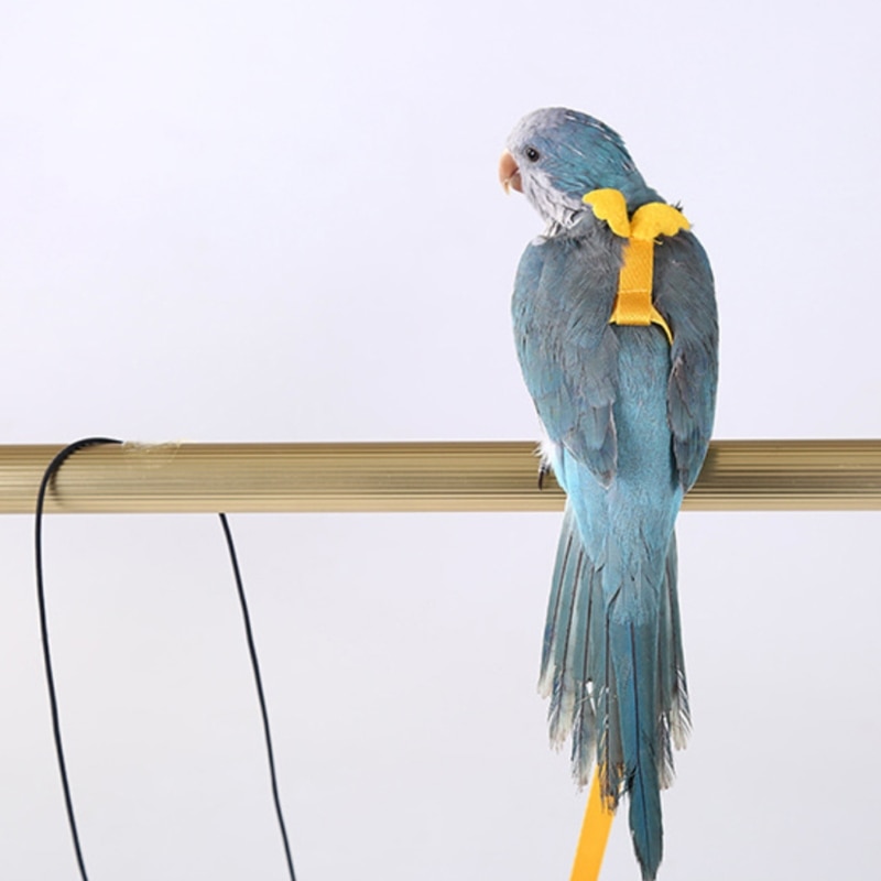 Anti-Bite Vliegende Training Touw Papegaai Vogel Huisdier Aangelijnd Kits Ultralight Harnas Leiband Voor Grasparkiet Dwergpapegaai Valkparkiet Kleine Vogels