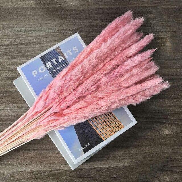 10 st pampas gräs dekor phragmites & vass blommor hem juldekoration torkad blombukett naturliga växter: Rosa / 10 st