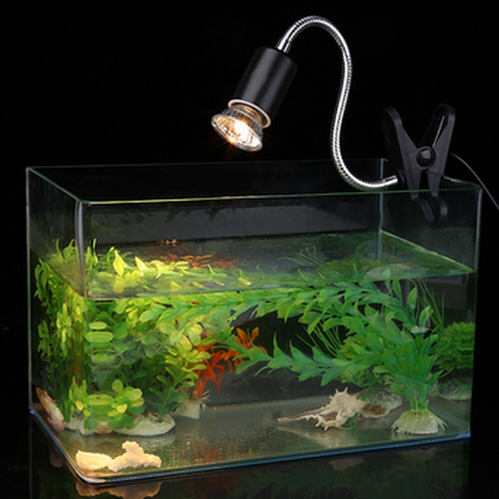 Mini ampoule solaire en céramique à infrarouge pour Reptile, ampoule chauffante pour animaux de compagnie, incubateur de Reptiles, lampe solaire au Calcium, UVB
