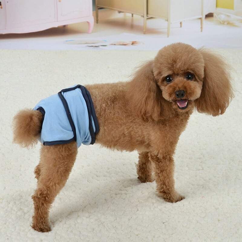 Dogs Diaper Panties Reusable Pet Physiological Underwear Shorts Washable Female Dog Sanitary Shorts Pet Sanitary Supplies