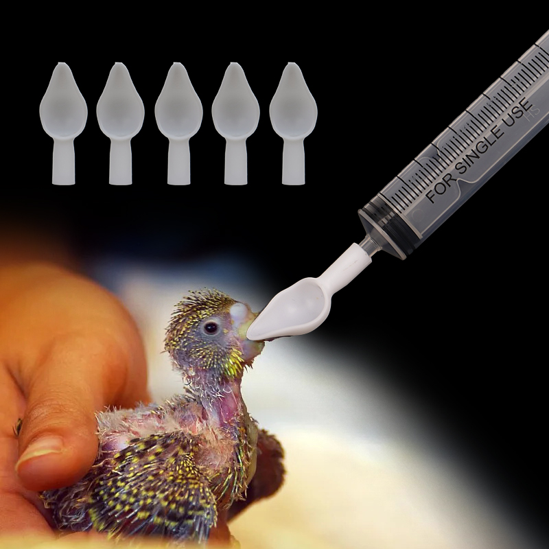 Mangeoire pour perroquet et calopsitte, seringue manuelle avec cuillère, outil pour animal de compagnie, bébés oiseaux, tubes d'alimentation, cuillères médicinales