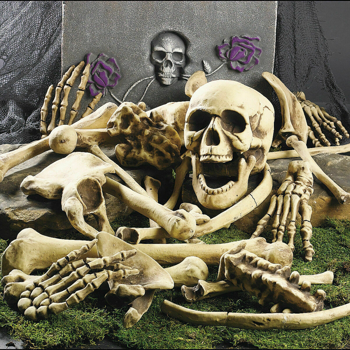 Halloween Skeleton Bones 28 Stuks Halloween Prop Skelet Schedel Spookhuis Horror Prop Party Decoraties Lastig Botten Schedel