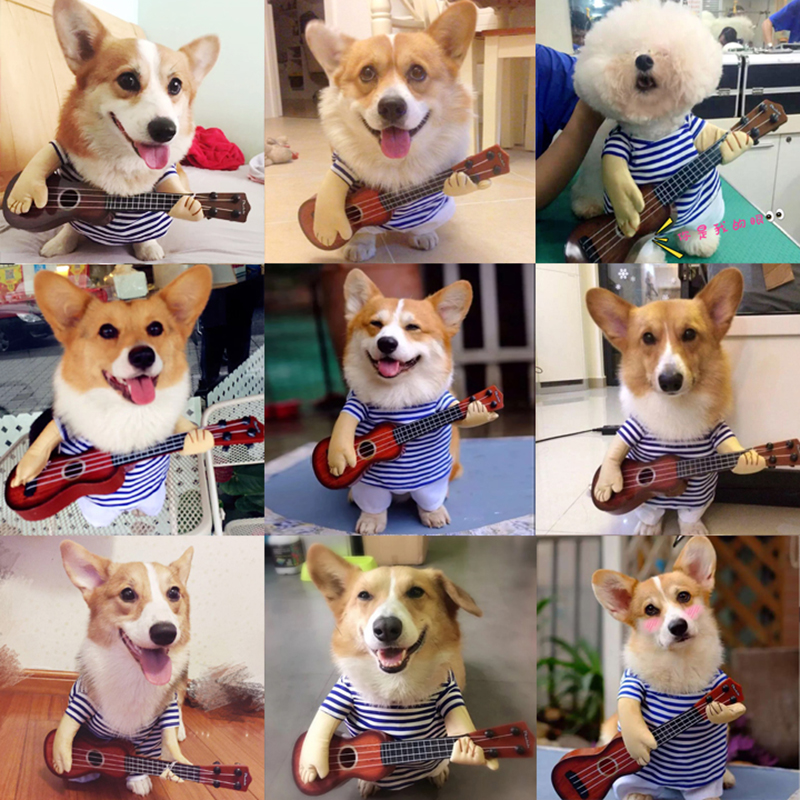 Rolig husdjur gitarrist cosplay hund kostym gitarrist utklädning fest jul halloween år kläder för hund katter plus peruk
