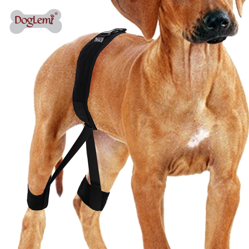 Pets Dogs Hind Leg Guard Recovery Orthodontic Band for Pet Dog Protective Hip Joint Correction Restore Pet Supplies