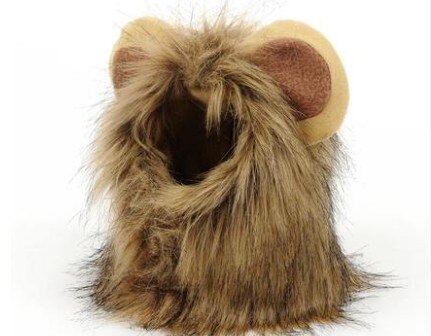 Nakrycia głowy lwa, czapka dla kota, śliczna transformacja, ozdobny kot akcesoria, nakrycie głowy kota, peruka, zabawny kapelusz dla psa