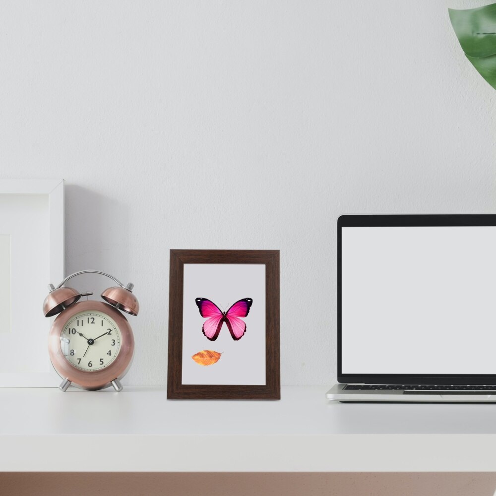 10inch Rustic Shadow Box Memory Box Frame for Display Medal Photo Dried Flowers