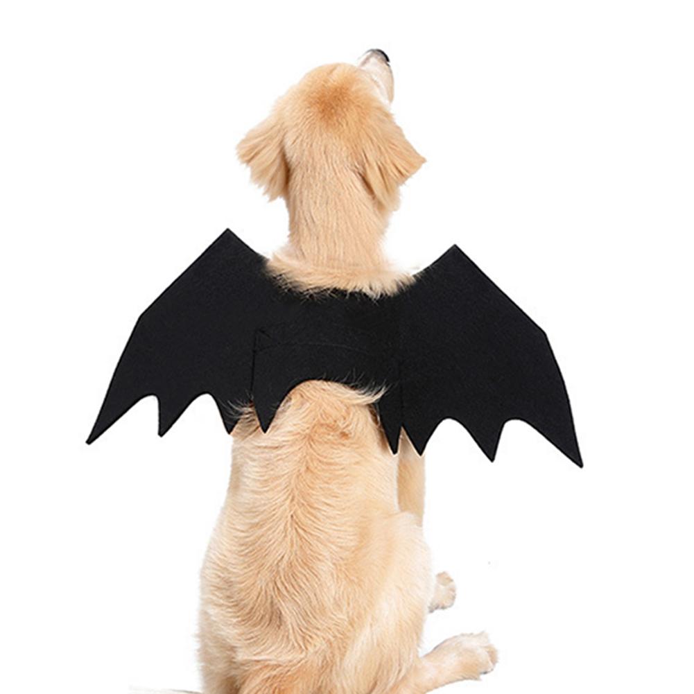 Halloween kæledyr hund tøj flagermus vinger til små store kæledyr hund katte flagermus kostume halloween dekoration tøj: S