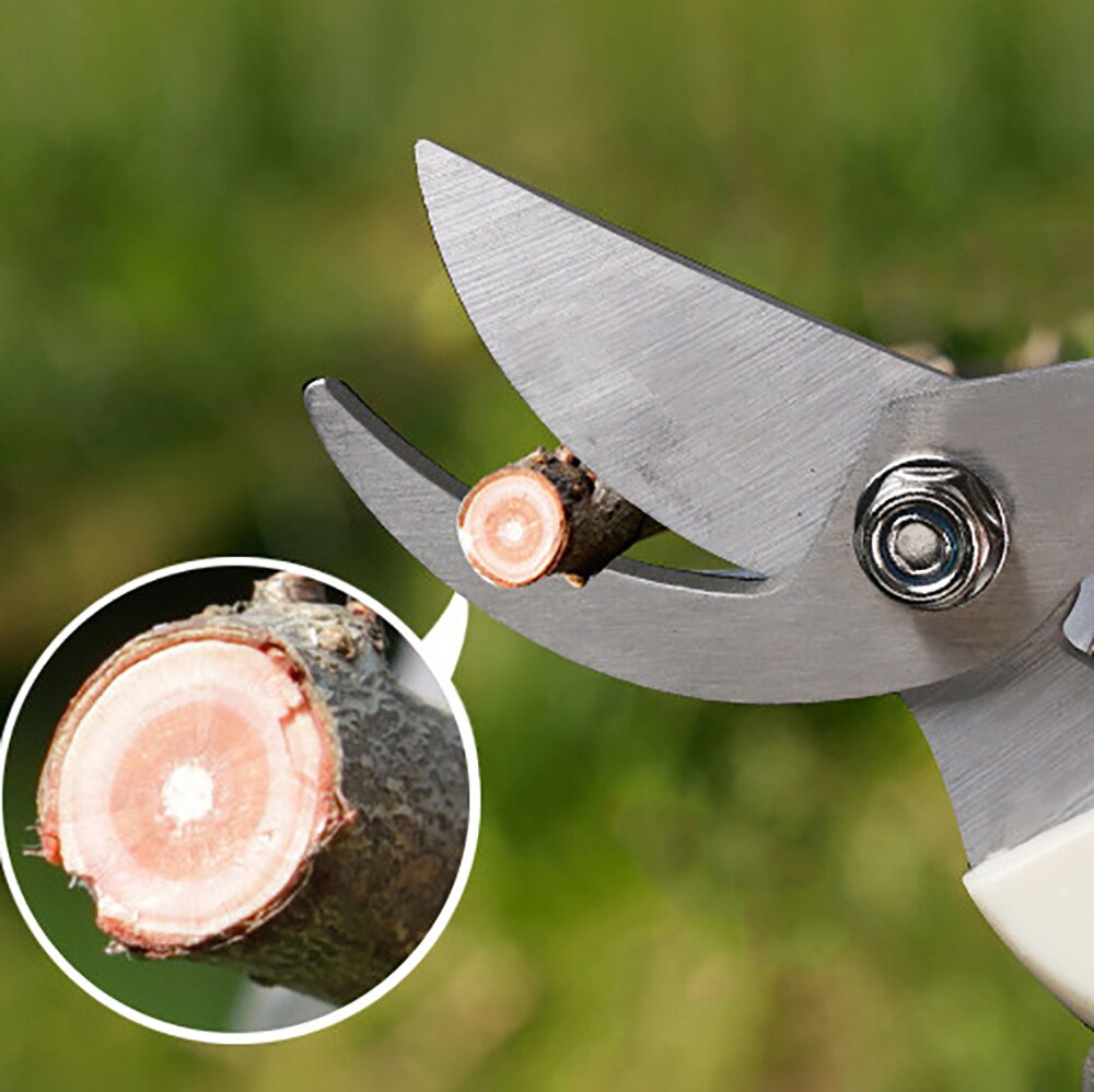 Tijeras de jardinería antideslizantes, tijeras de podar para injerto, herramientas de mano de acero inoxidable, herramientas para cortar árboles frutales, podadoras de bonsái, tijeras de podar