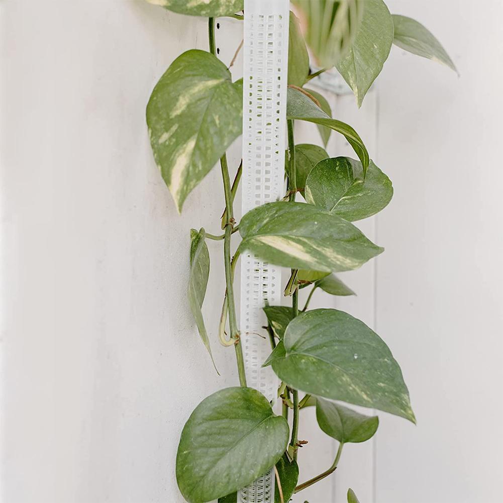 Climbing Plant Support Column Water Moss Column Gardening Fiber Pergola Liner Climbing Coco Flower Coco Bracket L5K9