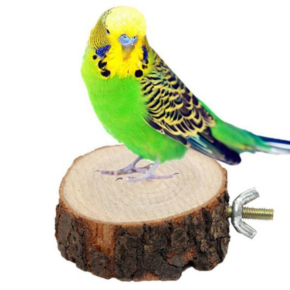 Nueva Diagonal corte de madera muelle trampolín soportes para loros de la protección del medio ambiente Natural duradera muelle de madera