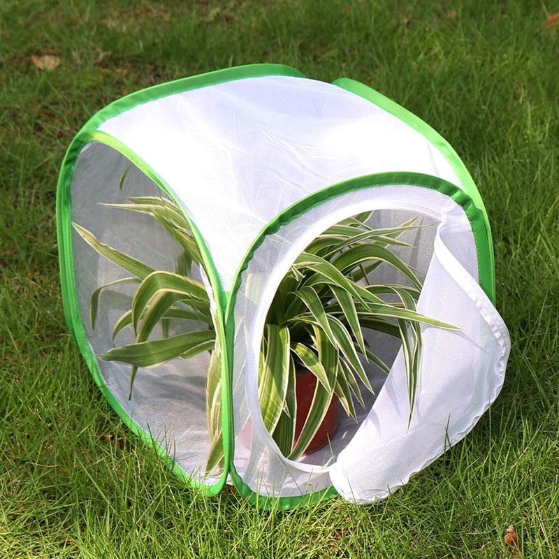 Insekten und Schmetterling Lebensraum Käfig Terrarium Pop-up 12x12x12 Zoll (Weiß + grün)
