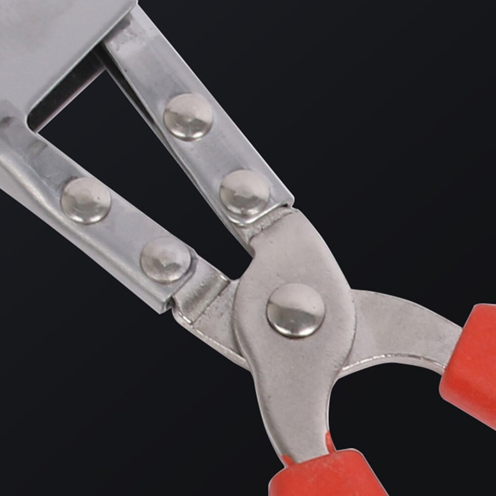 Stainless Steel Crab Clamp Sturdy Eel Clamp Loach Clip Kitchen Accessory