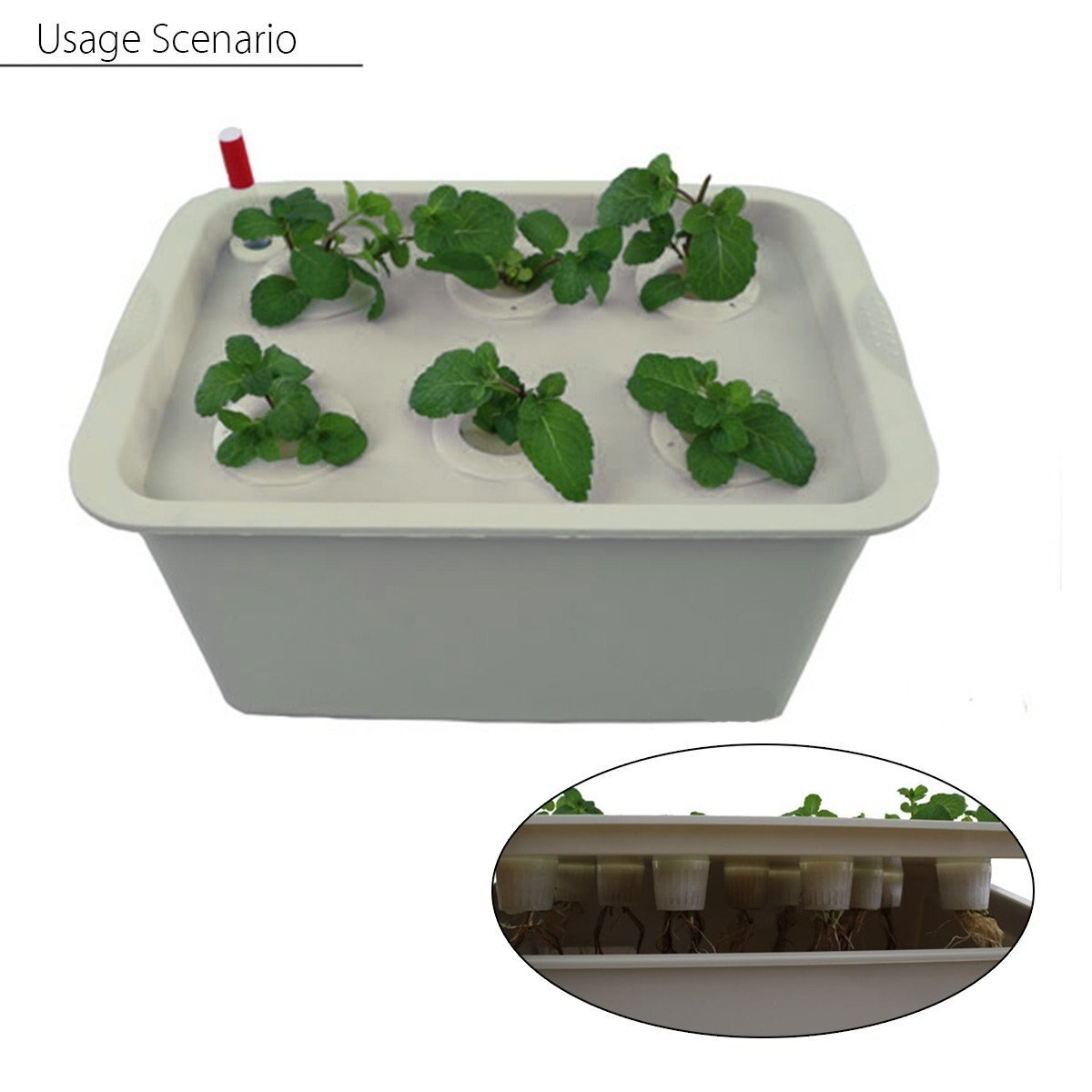 Plant Site Hydrocultuur Kit Tuin Potten Plantenbakken Zaailing Potten Indoor Teelt Doos Groeien Kit Bubble Kwekerij Potten 1 Set