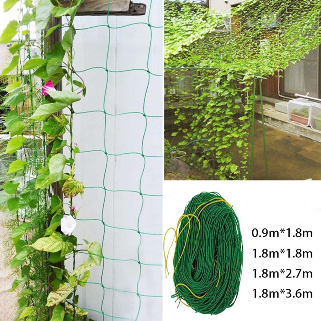 Plantas de videira flor jardim verde treliça rede apoio malha escalada feijão planta redes crescer cerca escalada net engrossado linha