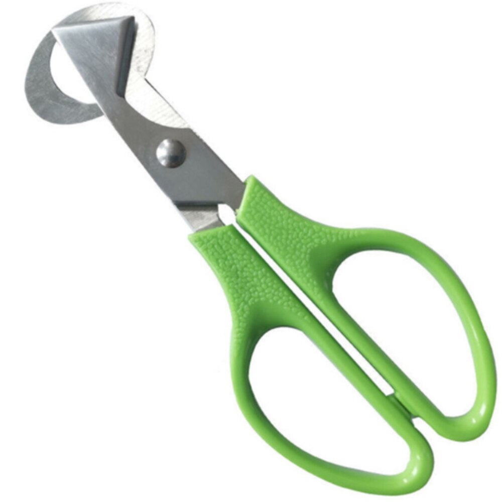 Quail Egg Scissors Eggshell Cutter Stainless Steel Quail Pigeon Bird Quail Eggs Cutter Opener Cracker Kitchen Clipper Tool: Green