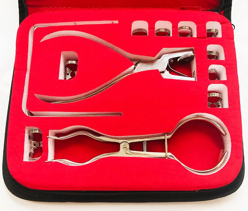 Lot De 10 Cadres Perforateurs De Barrage (dam Frames) En Caoutchouc Dentaire - Acier Inoxydable, Pour Endodontie