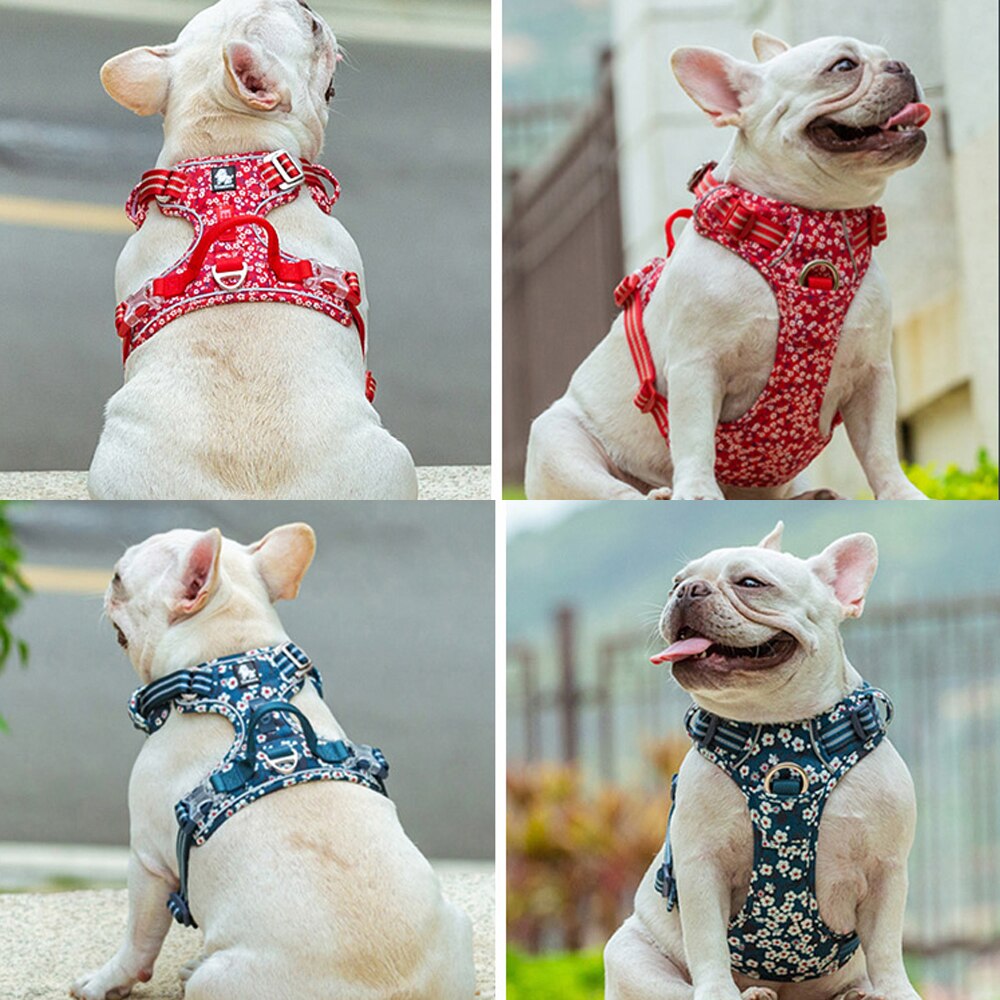 Truelove Floral Hund Harness mit Griff Baumwolle Pet Harness für Small Medium Large Hunde Katzen Weiche Baumwolle Atmungsaktiv Reflektierende