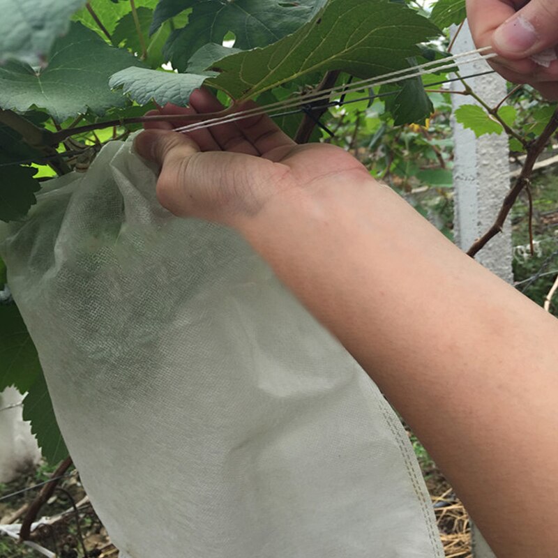 100 pièces raisin Protection sacs pour fruits légumes raisins maille sac contre insecte pochette étanche antiparasitaire Anti-oiseau jardin