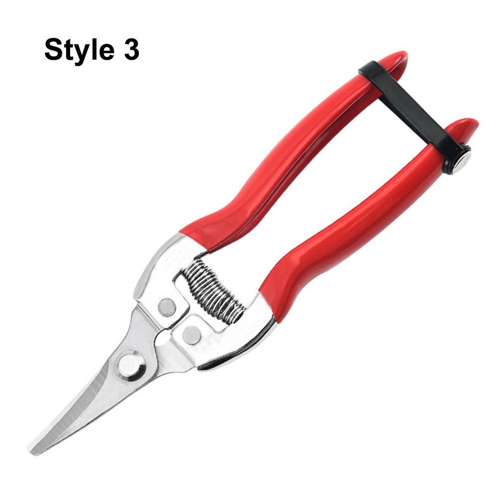 Tijeras para floristería, herramienta para podar árboles, podadora manual de jardinería, tijeras de jardín, recortadora de hojas, tijeras de podar rectas con micropunta, 1 Uds.: Naranja