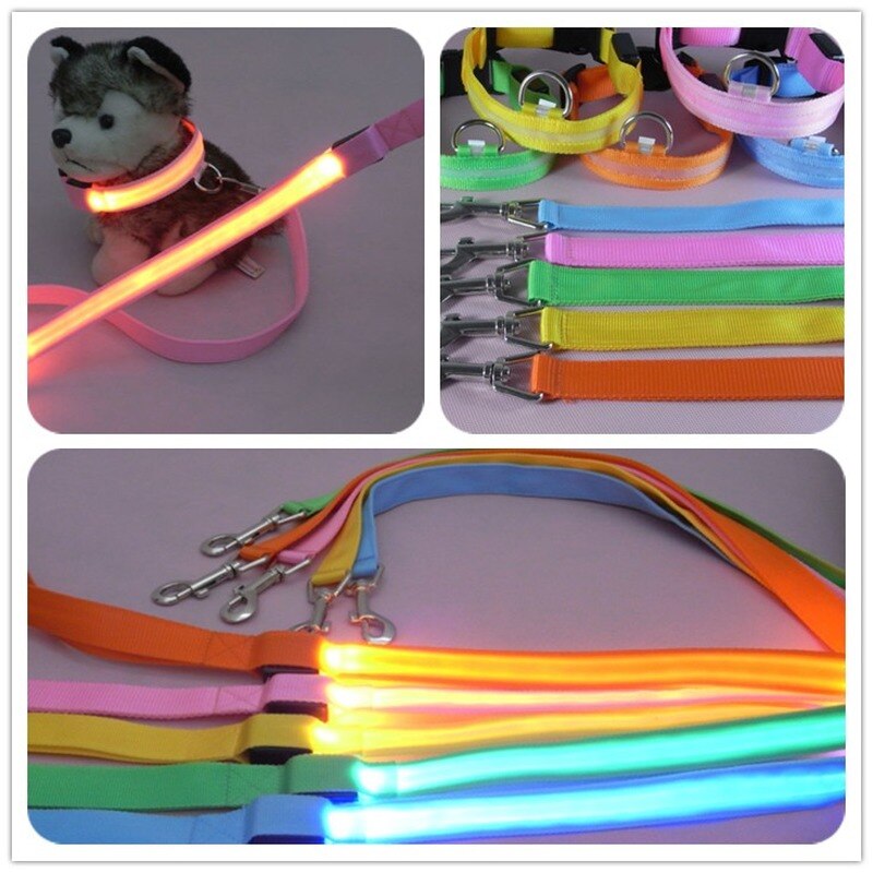 Laisse en Nylon pour chien, sécurité nocturne, LED clignotante dans la nuit, collier pour animaux de compagnie, dessin pour chat, petit gabarit