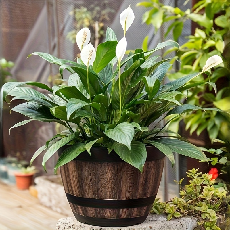 1 szt. Doniczka w kształcie beczki Whisky w stylu klasyczny, żywiczna doniczka ogrodowa z wzorem w paski, z otworem odpływowym i podstawką, na kwiaty, sukulenty: Default Title