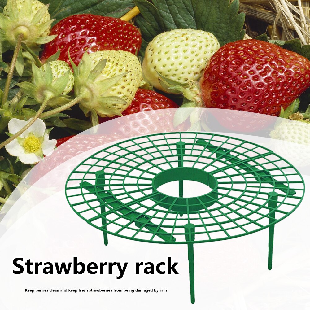 Garden Planting Rack Plastic Strawberry Growing Su... – Grandado