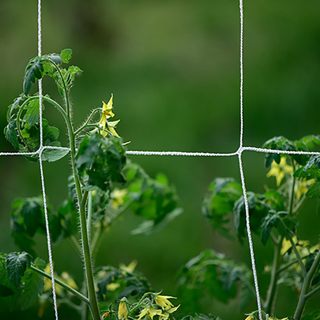 nylon netting hage klatreplante nett gjerde grønn støtte blomster hageplanter klatrenett agurk vinrank vokse holder: 5 x 15ft