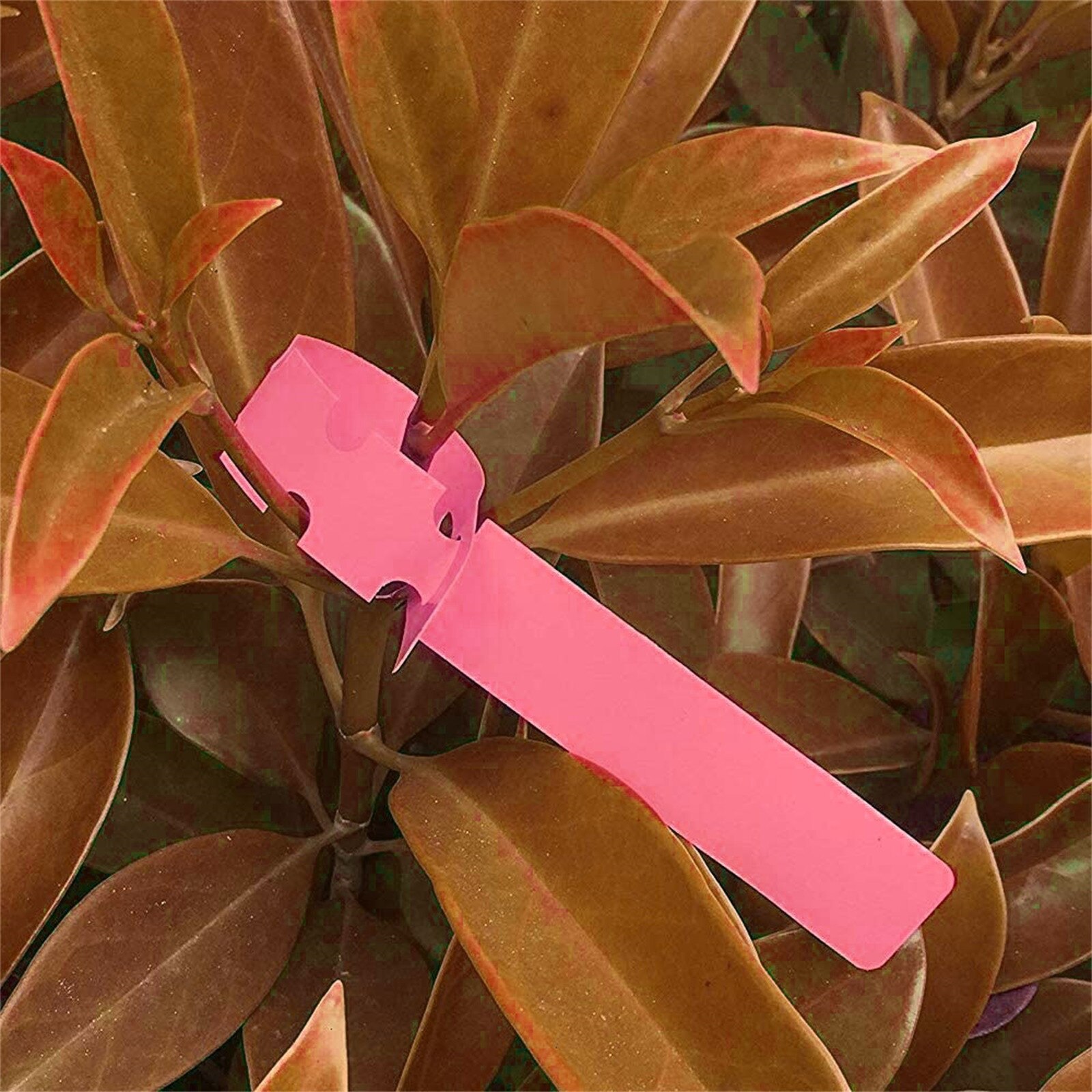 200PC Gardening Label Long Label Plastic Plant Long Type Label Marking Seedling Tray Gardening Label Gardening Label Long Label