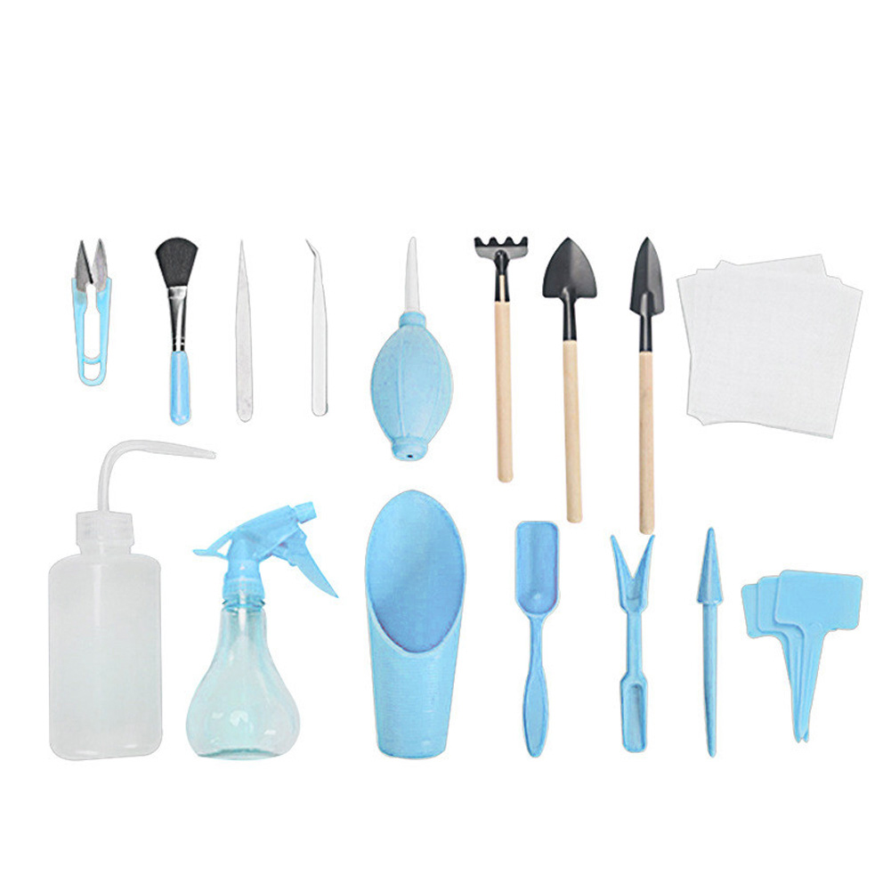 Mini Kit de plantation de plantes succulentes, 12/16 pièces, Kit de semis pour la maison