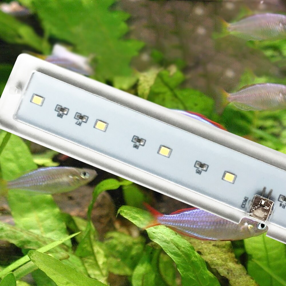 Kleine Aquarium Lamp Led Gras Cilinder Lamp Aquarium Aquarium Beugel Lamp Reptiel Doos Verlichting Energiebesparing