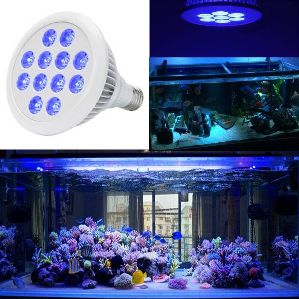 12W 24W E27 Marine Aquarium LED Lamp White Blue Lamp PAR30 Full Spectrum Reef Coral Fish Tank Aquarium