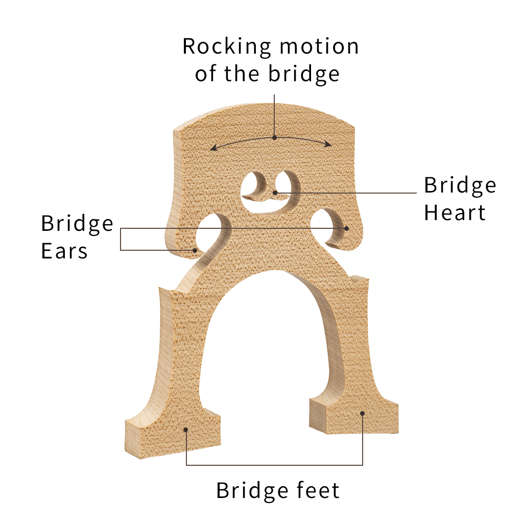 Standaard Maple Cello Bridge Maple Brug Voor Praktijk Gebruik 4/4 3/4 1/2 1/4 1/8 Cello Bridge