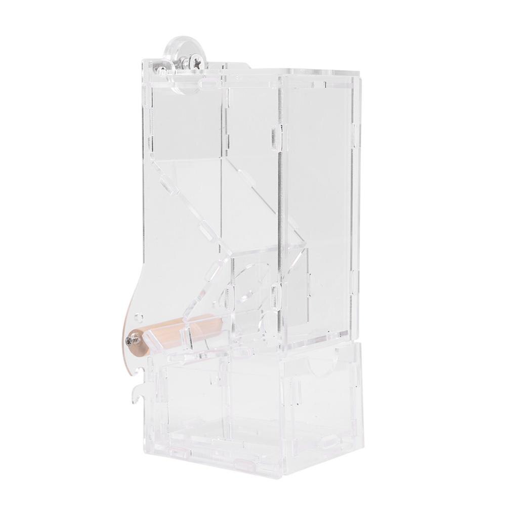 Automatic Bird Feeder Pet Bird Cage Feeder Food Container Feeding Parrot Cockatiel Automatic Feeders Mangeoire Oiseaux: Default Title