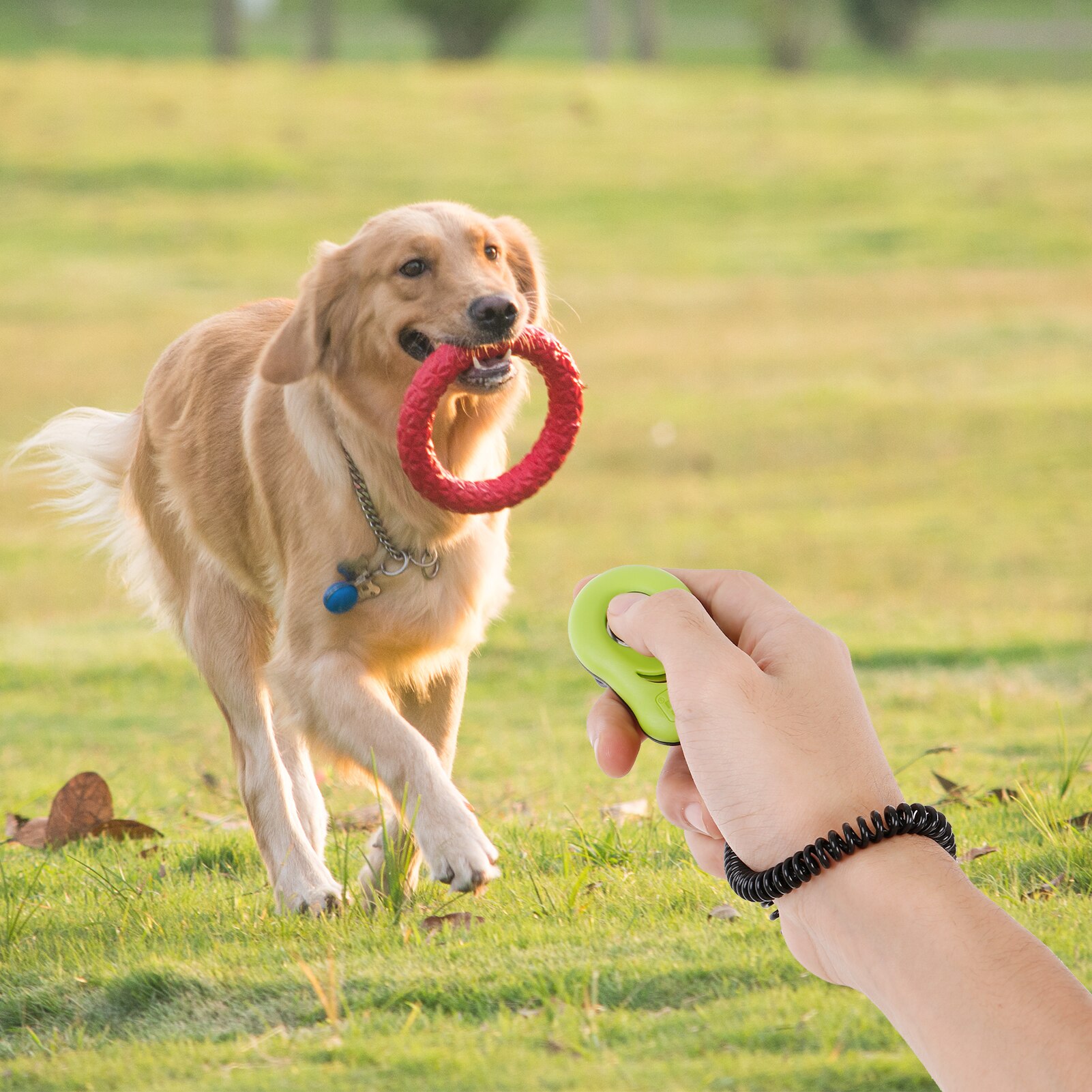 Pet Click Device Dog Training Clicker with Wrist Strap Positive Behavior Reinforced and Train for Dogs Cats Puppy Birds Horses
