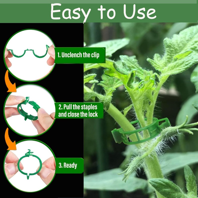 600/10x Plant Support Clips Climbing Plants Fixing Clips Grape and Vine Vegetables Buckle Prevent Tomatoes From Falling Off