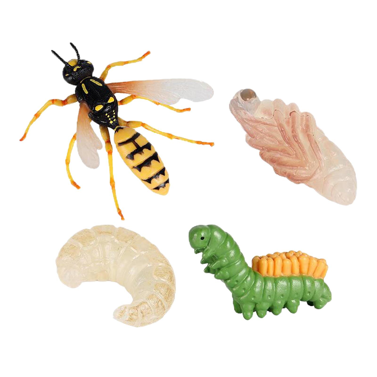 4 Piece Life Cycle Figures, Insects Plastic Wasp Toy Figure - Authentic Hand