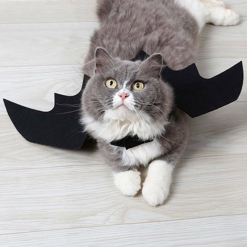 Halloween Haustier Schläger Flügel katze kostüm Haustiere kostüm tragen Halloween-Schild