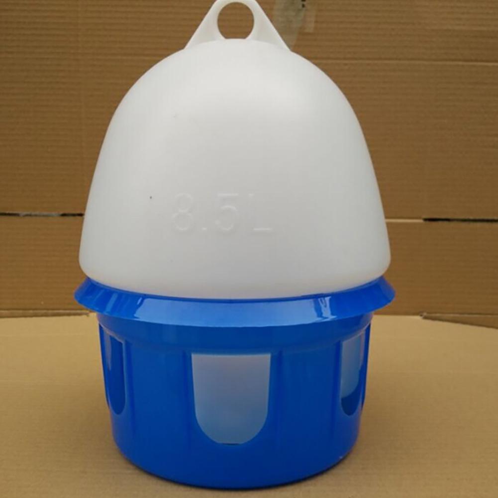 2L Water Fountain with Water Channel for Homing Pigeons Birds