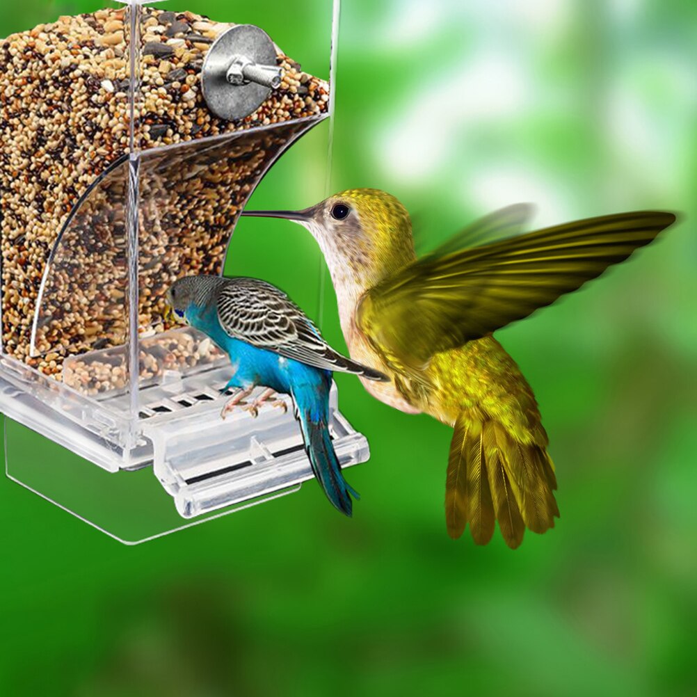 Bird Automatic Feeder Splash-proof Bird Feeder Bird Cage Accessories Bird Food Container For Parakeet Canary Cockatiel Finch
