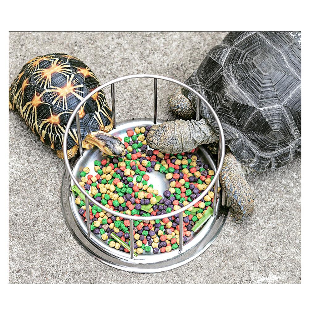 Roestvrij Staal Huisdier Schildpad Voedsel Kom Schildpad Water Voedsel Lade Voedsel Dispenser Feeding Tool