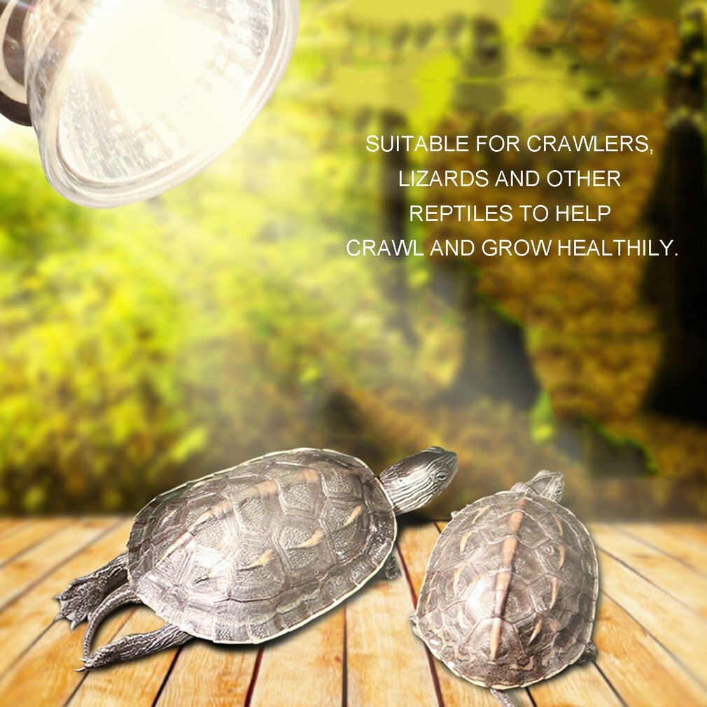 Grape Uvb Reptile Turtle Frade Full Spectrum Lamp Solar Pet Heating Lamps Low-intensity 25 W / 50 W