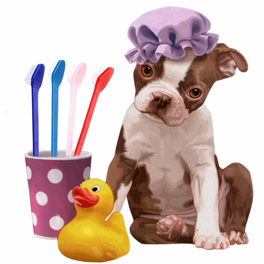 Pet Toothbrush Toothpaste Kit Three Sided Dog Brush Addition Bad Breath Tartar Teeth Care Dog Cat Cleaning Mouth Dog toothbrush