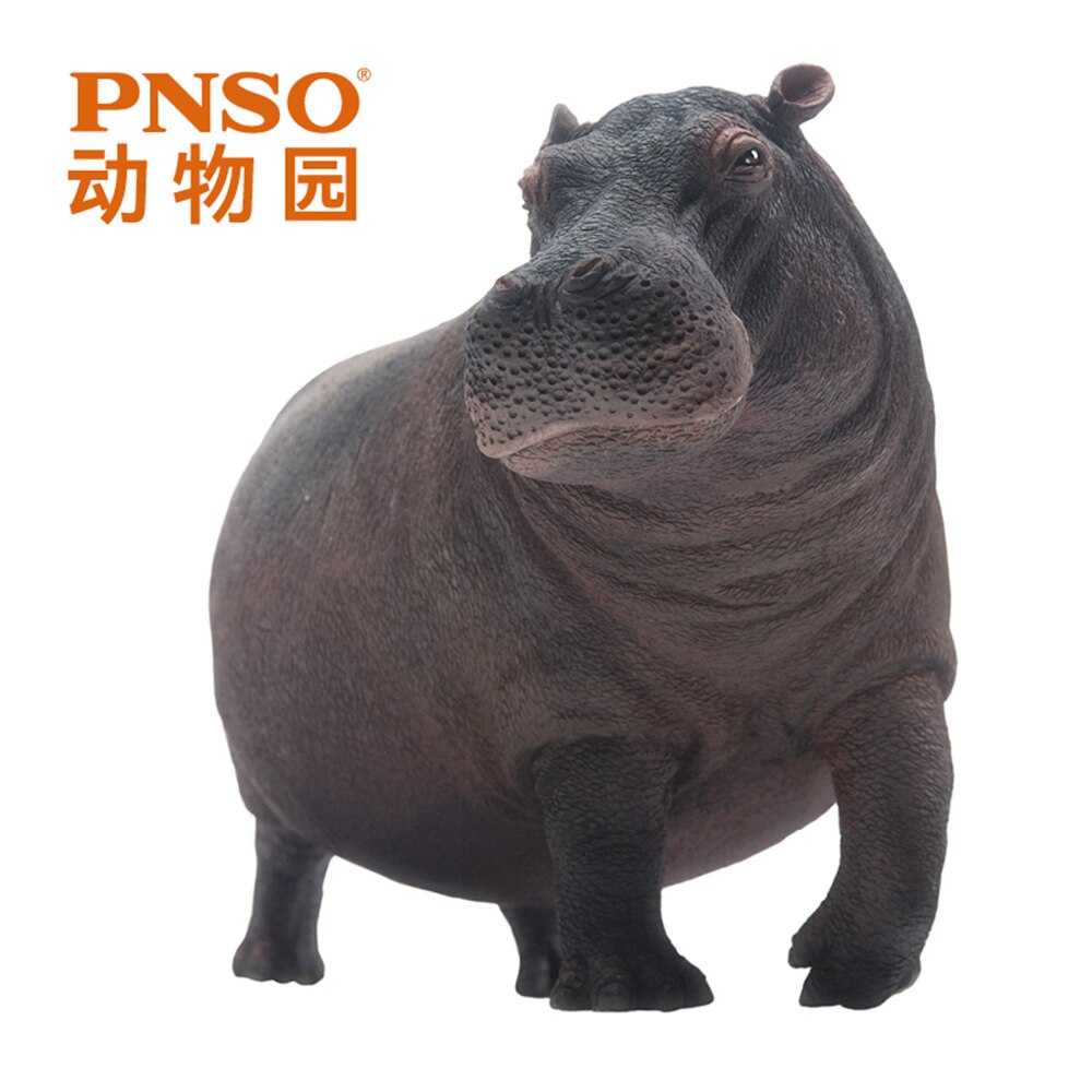 PNSO Hippopotamus Modell Hippo Hippopotamidae Tier Figur Desktop Dekoration Sammler Spielzeug