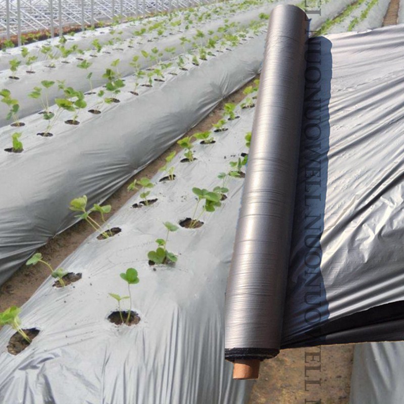 5~30M Thickness 0.012mm Agricultur Silvery Black Reflective Plastic Mulch Film Greenhouse Plant Seedlings Heat Preservation Film